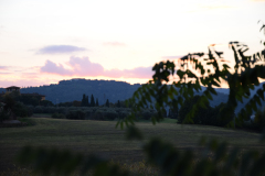 1_DSC_0027